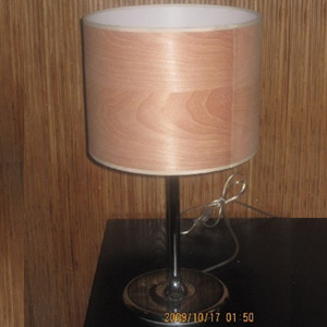 Creative desk lamp AT188