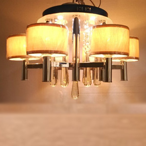 Best price modern ceiling lamp 2179-6