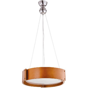 pendant lamp for coffee shop DP803-52933BR